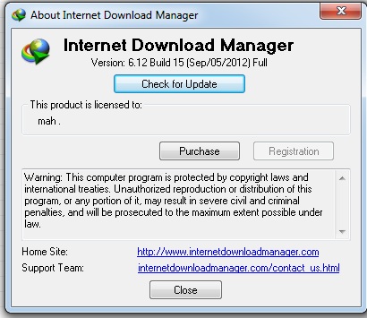 Internet Download Manager 6.12 Build 15 Screenshot