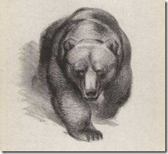 vatagian-bear_0