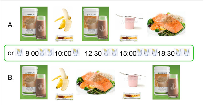 HERBALIFE DIET PLAN (ULTIMATE PACK):