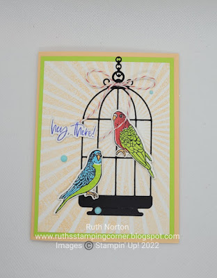 stampin up, pretty birds