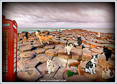 The B Team's Giant's Causeway Selfie ©BionicBasil® Puzzle