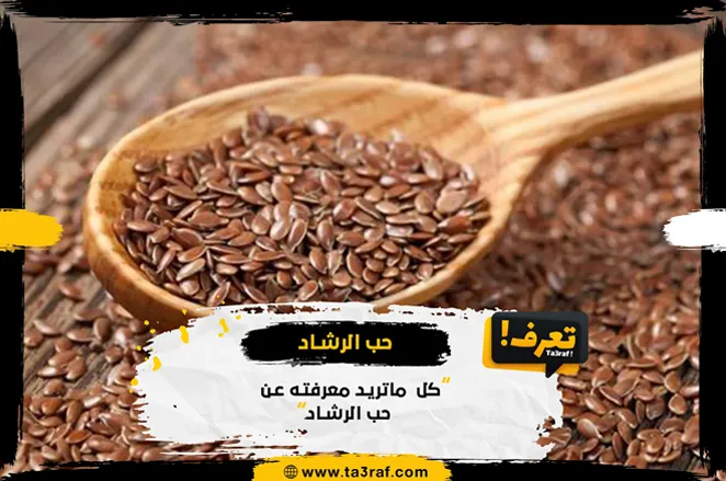 فوائد حب الرشاد وأضراره