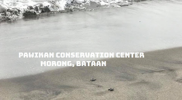 Pawikan Conservation Centre in Morong Bataan