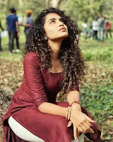 anupama parameswaran instagram