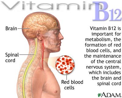 Vitamin B12