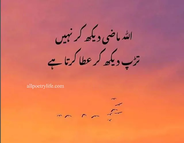 Whatsapp status Islamic Quotes In Urdu | Islamic Poetry Urdu