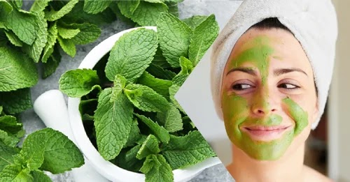 Ayurvedic Skin Rejuvenation Face Packs with Basil(Tulsi) Leaves