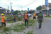 Babinsa 20/Pante Bidari Bantu Warga Singkirkan Pohon Tumbang