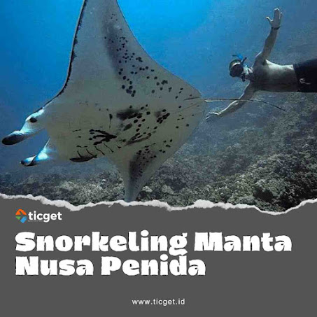 snorkel-manta-rays-penida-bali-private-services