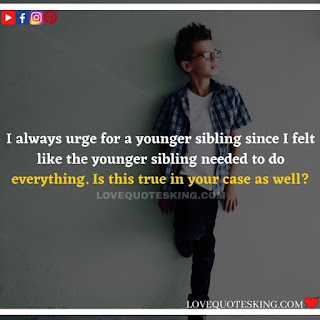 Best Funny Brother Quotes From a Sister | Best Quotes About Brothers To Say | Best Brother Quotes And Sibling Sayings | Funny Quotes On Brother And Sister