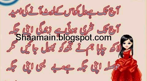 Thehri hui Hai Zindagi Apni Jagah Urdu Poetry