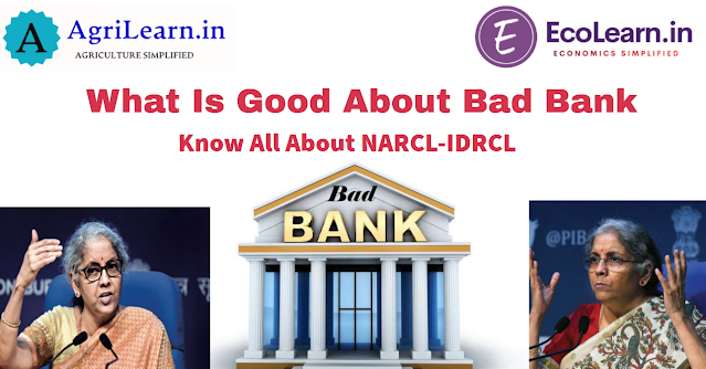 What is Bad Bank and New Development Finance Institution (DFI)