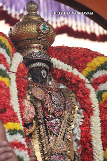 Surya PRabhai,Day 04,Brahmotsavam, Thiruvallikeni, Sri PArthasarathy Perumal, Temple, 2017, Video, Divya Prabhandam,Utsavam,