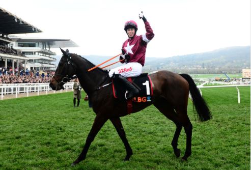 Stayers Hurdle Cheltenham festival pointer  Andrew Nelis one to follow 