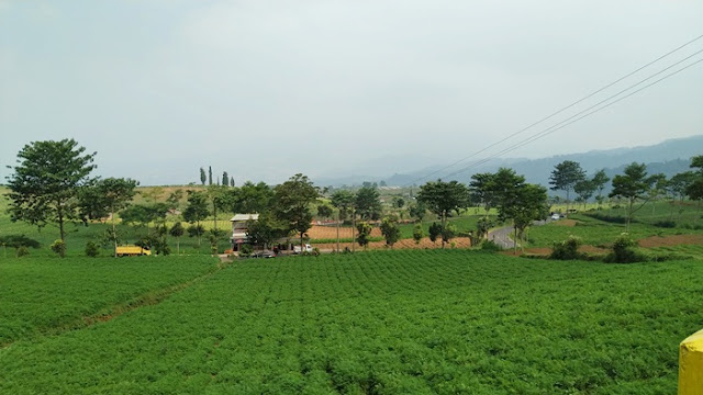 pemandian air panas cangar