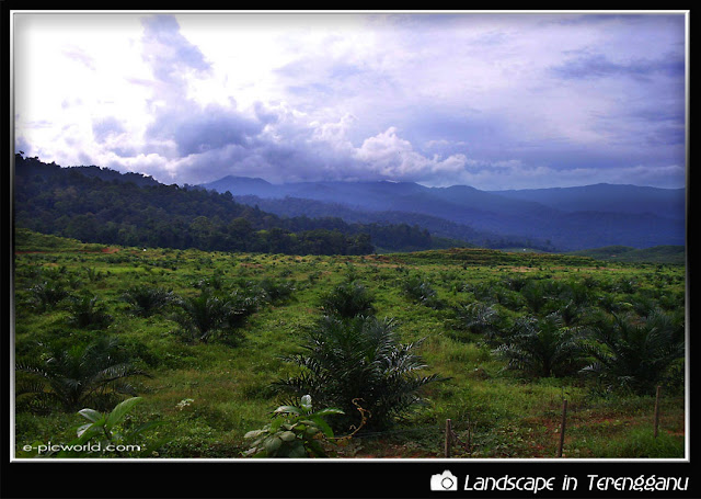 belukar bukit picture