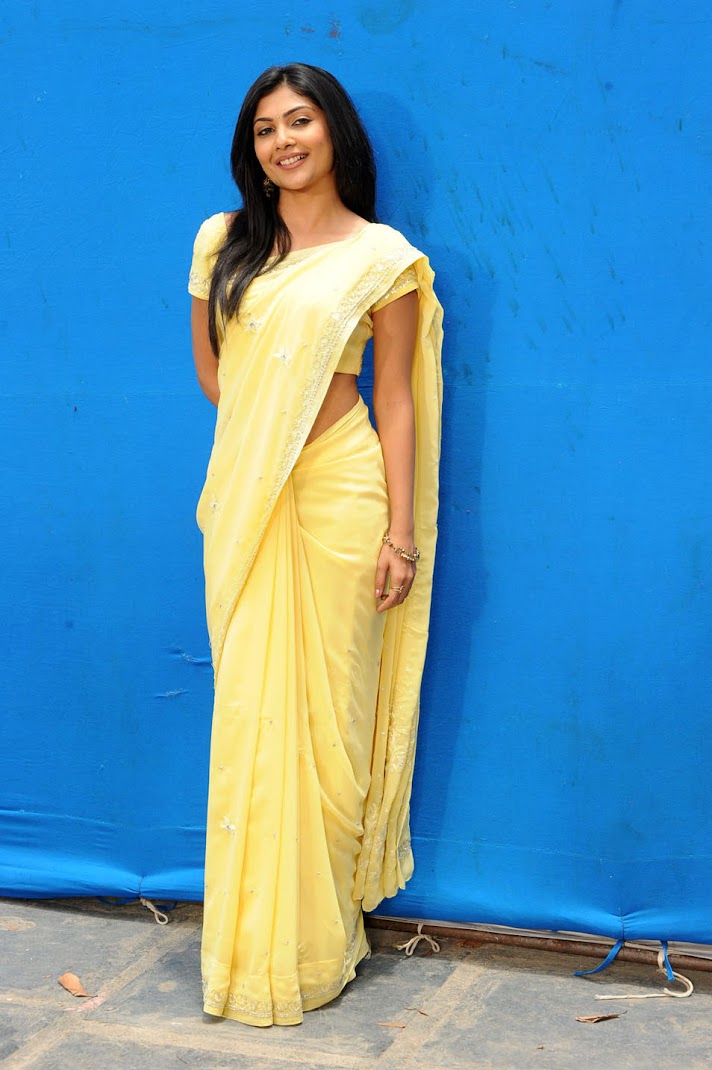 Kamalini Mukherjee Hot Pics in Saree