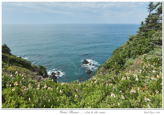 Grand Manan: ... close to the ocean...