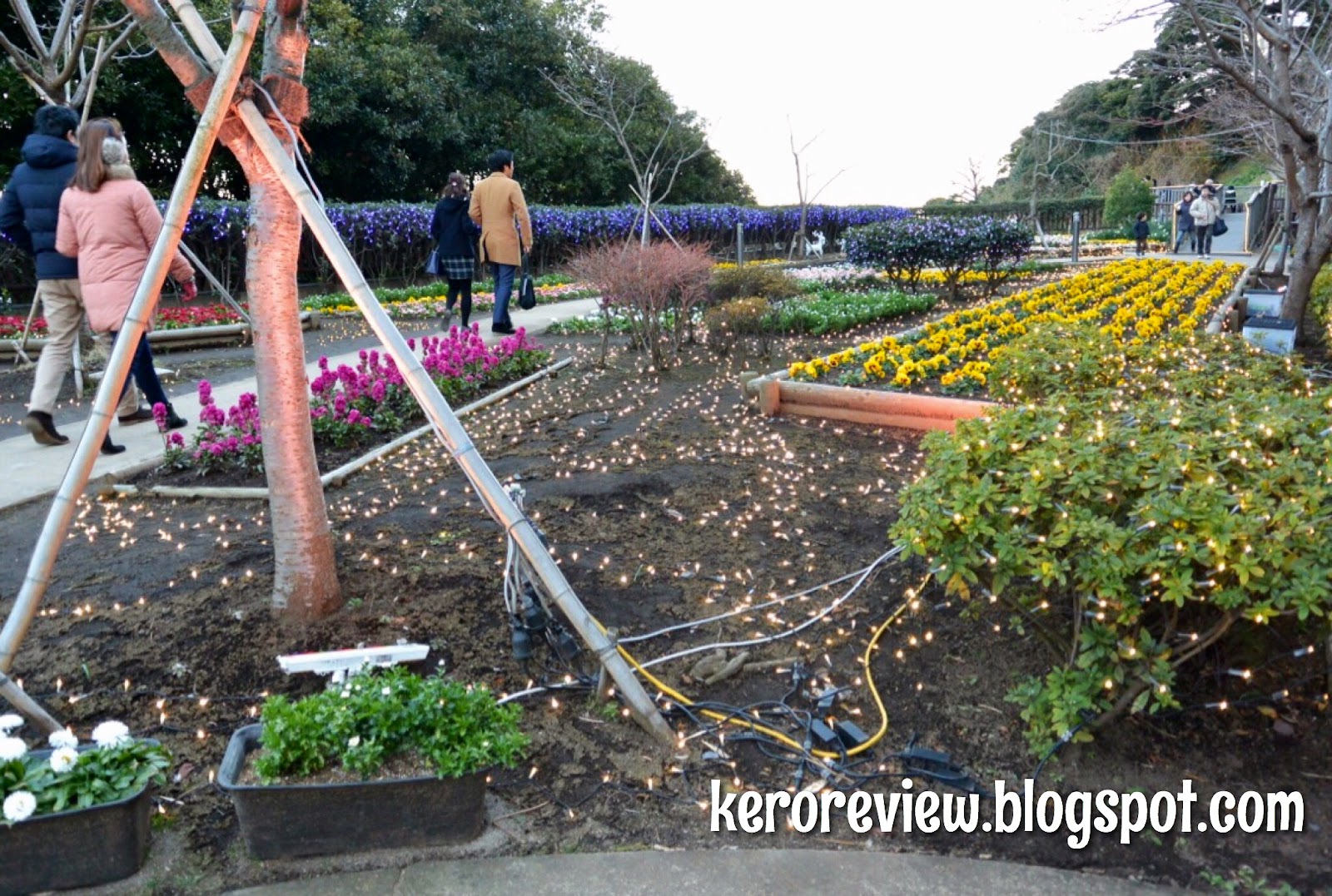 รีวิว เที่ยวญี่ปุ่น - ขากลับจากเกาะเอะโนะชิมะ เมืองฟุจิซะวะ จังหวัดคะนะงะวะ (CR) Review Japan Travel - Back from Enoshima Island, Fujisawa City, Kanagawa Prefecture.