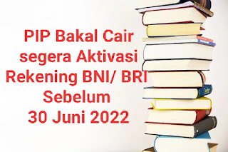 Bantuan PIP Bakal Cair Kembali Kepada 7,72 Juta Siswa SD hingga SMK, Buruan Aktivasi Rekening Bank BNI dan BRI Sebelum 30 Juni 2022