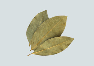 What is bay leaf good for