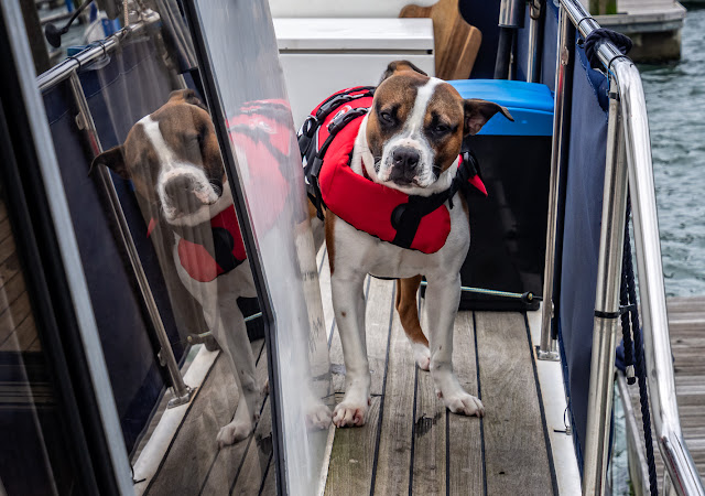 Photo of Ruby modelling her new lifejacket on Ravensdale