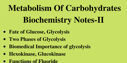 Metabolism Of Carbohydrates Biochemistry Notes-II