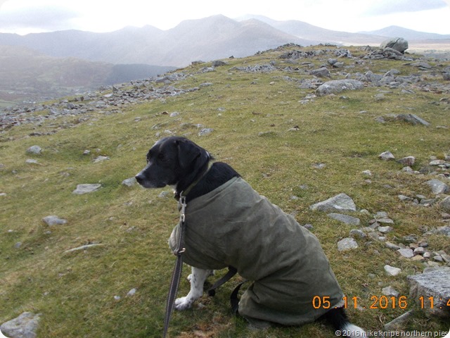moel wnion 004