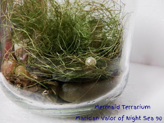 Mermaid Terrarium, no-care needed, dry terrarium. Night Sea 90.