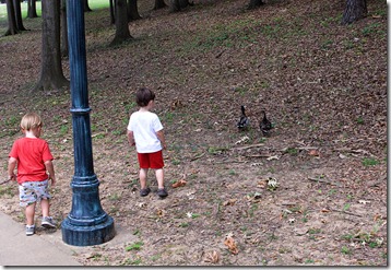 boys with ducks