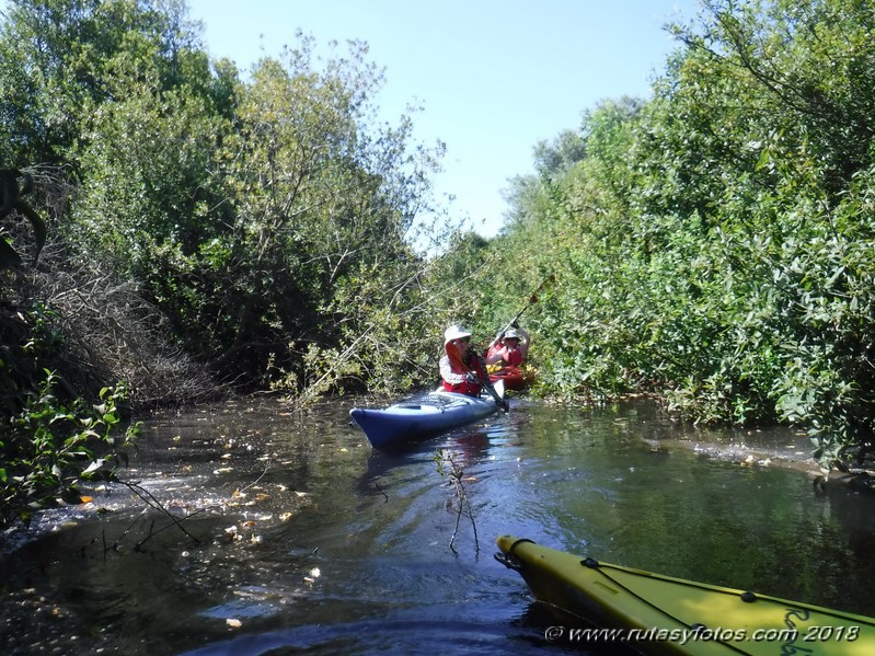 Kayak río Palmones