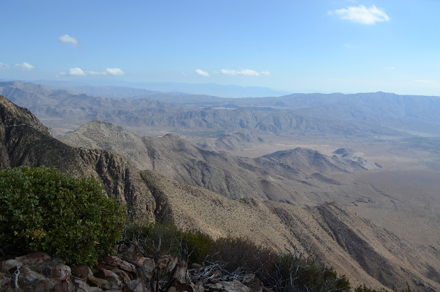 desert and bumps