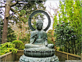 Buda, Japanese Tea Garden: San Francisco