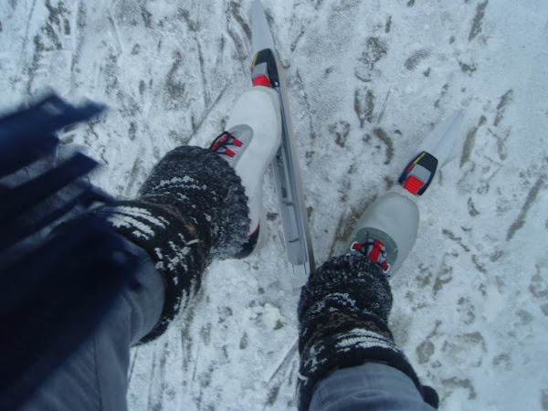 Long distance ice skates
