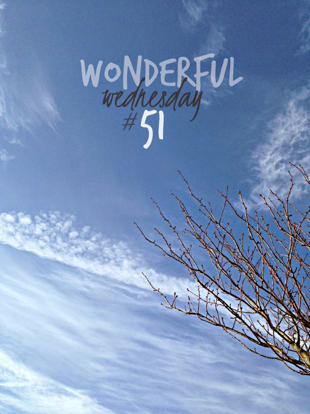 Wonderful Wednesday #51