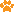 šapa