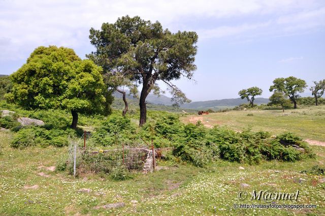 La Trocha - Rio de la Miel