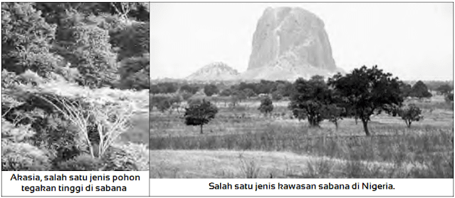 Macam-Macam Sabana