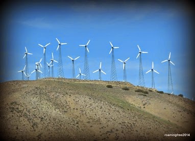 Wind Farm