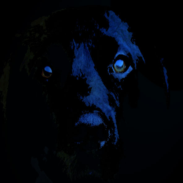 black Dog ghost