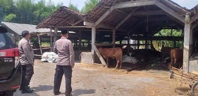 virus penyakit mulut dan kuku