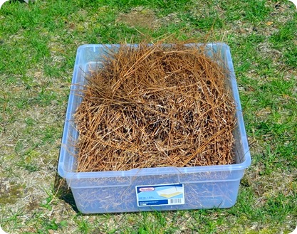 11,211 needles 