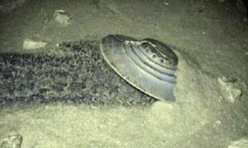 Alien Craft Crashes In Nebraska
