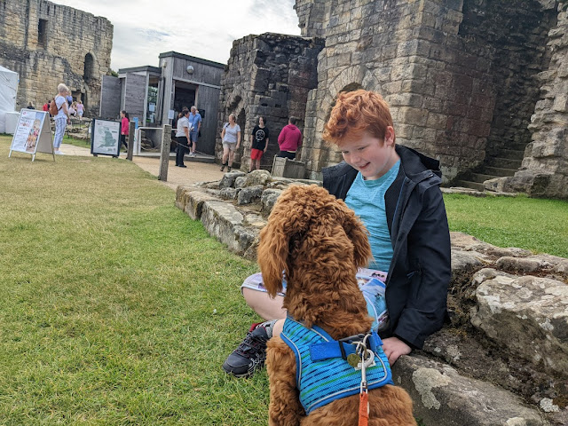 Indoor Dog Friendly Attractions - Warkworth Castle