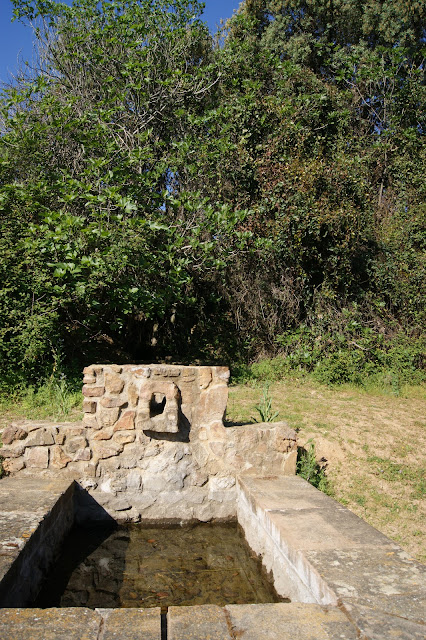 Fuente de Valdeja en la ruta del agua en Adamuz .