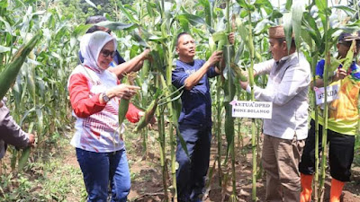 Pemkab Bone Bolango Siap Dukung Program Ketahanan Pangan di Lombongo