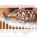 El sector cacaotero inyecta recursos a las comunidades rurales del país