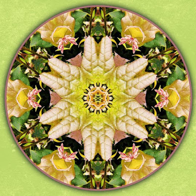 revitalizing mandala