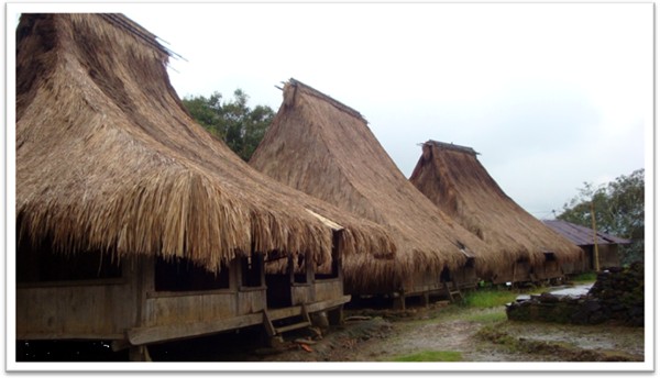 Arsitektur Tradisional RUMAH ADAT  LIO ENDE  FLORES NTT