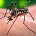 Deadly zika virus can also be transmitted through sex so ladies and gent beware- BBC